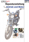 Reparaturanleitung RIS, Kymco Zing 125, Antrieb und Motor