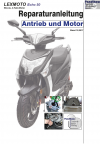 Reparaturanleitung RIS, LEXMOTO Echo 50 4T , Antrieb und Motor