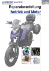 Reparaturanleitung RIS, Lexmoto Tekken 125 EFI, Antrieb und Motor