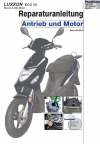 Reparaturanleitung RIS, Luxxon Eco 50, Antrieb und Motor