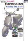 Reparaturanleitung RIS, LuXXon Emily 50 GT, 4T, Antrieb und Motor