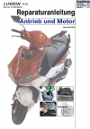 Reparaturanleitung RIS, Luxxon F18 (50), Antrieb und Motor