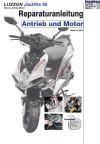 Reparaturanleitung RIS, Luxxon Jackfire 50 (2T) Antrieb und Motor