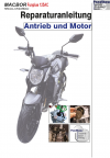 Reparaturanleitung RIS, Macbor Fun Plus 125 AC, Antrieb und Motor