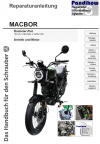 Reparaturanleitung RIS, Macbor Rockster Flat 125 AC, Antrieb und Motor