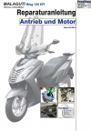 Reparaturanleitung RIS, MALAGUTI Blog 125 EFI, Motor und Antrieb