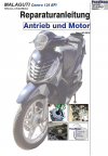 Reparaturanleitung RIS, MALAGUTI Centro 125 EFI, Motor und Antrieb