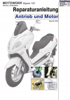 RIS Reparaturanleitung Motoworx Gigant 125 Antrieb und Motor