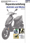 Reparaturanleitung RIS, Nova Motors City Star 125, Antrieb und Motor