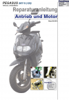 Reparaturanleitung RIS, Pegasus Sky II 125, 4T, Antrieb un Motor