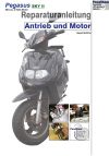 Reparaturanleitung RIS, Pegasus Sky II 50, 2T, Antrieb und Motor