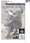 Reparaturanleitung RIS, Piaggio Fly 100, Antrieb und Motor