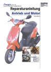 Reparaturanleitung RIS, Piaggio Zip 50 2T, Antrieb und Motor