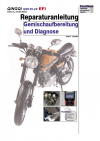 Reparaturanleitung RIS, Qingqi QM125-2X, 4T, Gemischaufbereitung und Diagnose