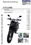 Reparaturanleitung RIS Cyclone RA 125 LC, Antrieb und Motor