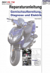 Reparaturanleitung RIS, REX RS750 4T, Gemischaufbereitung, Diagnose und Elektik