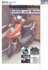 Reparaturanleitung RIS, Rieju Toreo 50, Antrieb und Motor