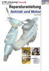 Reparaturanleitung RIS, SYM SANYANG Fancy R 50 2 Takt, Antrieb und Motor