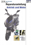 Reparaturanleitung RIS, Teyin A8 125 AC, Antrieb und Motor