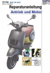 Reparaturanleitung RIS, Teyin Golf 125 AC, Antrieb und Motor