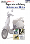 Reparaturanleitung RIS Tauris Cubana 125 4T Antrieb und Motor