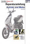 Reparaturanleitung RIS, Tauris Fiera 125, Antrieb und Motor