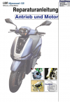Reparaturanleitung RIS UM Wynwood 125, Antrieb und Motor