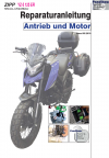 Reparaturanleitung RIS, Zipp YZ-5 125 EFI, Antrieb und Motor