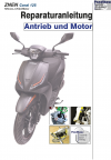 Reparaturanleitung RIS Znen Coral 125, Antrieb und Motor